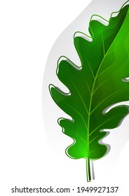 Creative green oak leaves on a light background. Template for your design. Vector illustration
