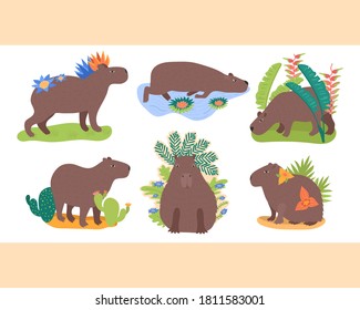 Creative hand drawn set with capybaras isolated on white. Cute funny animals with decorative flowers on them. Swimming rodent, eating grass capibara. Cacti, plants, water lily. South America fauna.