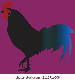 Creative hen color full design created by illustration made for logo, t shirt printing. 