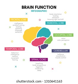 Creative human brain infographic. Psychology concept. Functions of the mind: intelligence, emotions, logic, memory, behaviour, learning. Frontal, temporal lobe, cerebellum, etc. 