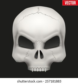 Creative Human skull. Vector Illustration isolated on background. 