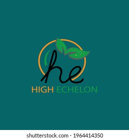 Creative iconic eye catching business logo