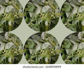 Creative illustration of fresh spinach leaves arranged in a seamless circular pattern against a muted green background. This stylized design combines botanical realism with artistic flair, making it