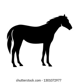 creative illustration of a horse vector silhouette
