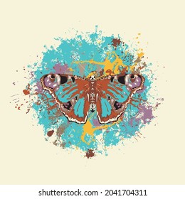 Creative illustration of a peacock eye butterfly with outstretched wings and abstract paint spots on a light background. Vector banner with a beautiful insect in modern style. T-shirt print, graffiti