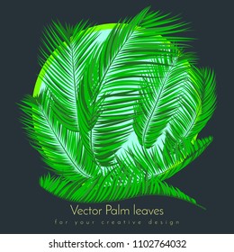 Creative Illustration with Vector Palm Leaves in Modern Style. Tropical Foliage. Floral Elements Set. Jungle Plants. Realistic Palm Leaves for Pattern, Print, Fabric, Textile or Your Creative Design.