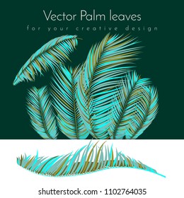 Creative Illustration with Vector Palm Leaves in Modern Style. Tropical Foliage. Floral Elements Set. Jungle Plants. Realistic Palm Leaves for Pattern, Print, Fabric, Textile or Your Creative Design.