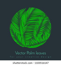 Creative Illustration with Vector Palm Leaves in Modern Style. Tropical Foliage. Floral Elements Set. Jungle Plants. Realistic Palm Leaves for Pattern, Print, Fabric, Textile or Your Creative Design.