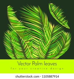 Creative Illustration with Vector Palm Leaves in Modern Style. Tropical Foliage. Floral Elements Set. Jungle Plants. Realistic Palm Leaves for Pattern, Print, Fabric, Textile or Your Creative Design.