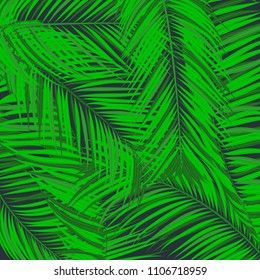 Creative Illustration with Vector Palm Leaves in Modern Style. Tropical Foliage. Floral Elements Set. Jungle Plants. Realistic Palm Leaves for Pattern, Print, Fabric, Textile or Your Creative Design.