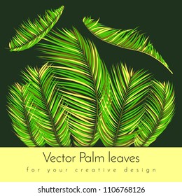 Creative Illustration with Vector Palm Leaves in Modern Style. Tropical Foliage. Floral Elements Set. Jungle Plants. Realistic Palm Leaves for Pattern, Print, Fabric, Textile or Your Creative Design.