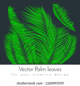 Creative Illustration with Vector Palm Leaves in Modern Style. Tropical Foliage. Floral Elements Set. Jungle Plants. Realistic Palm Leaves for Pattern, Print, Fabric, Textile or Your Creative Design.