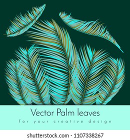 Creative Illustration with Vector Palm Leaves in Modern Style. Tropical Foliage. Floral Elements Set. Jungle Plants. Realistic Palm Leaves for Pattern, Print, Fabric, Textile or Your Creative Design.