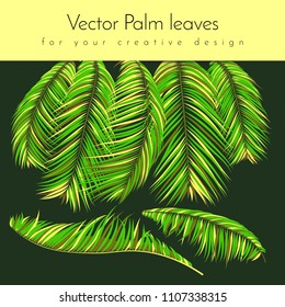 Creative Illustration with Vector Palm Leaves in Modern Style. Tropical Foliage. Floral Elements Set. Jungle Plants. Realistic Palm Leaves for Pattern, Print, Fabric, Textile or Your Creative Design.