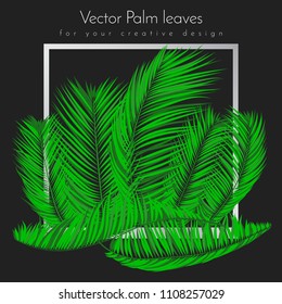 Creative Illustration with Vector Palm Leaves in Modern Style. Tropical Foliage. Floral Elements Set. Jungle Plants. Realistic Palm Leaves for Pattern, Print, Fabric, Textile or Your Creative Design.