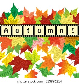 The creative image of autumn maple leaves and horizontal lining in the form of negatives with the inscription "Autumn"