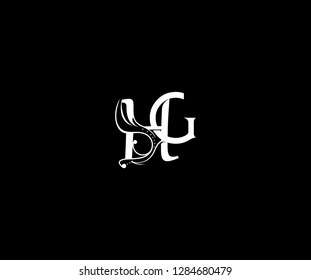 creative initial MG letter luxury flourishes ornament logo vector