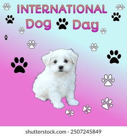 Creative International Dog Day Celebration.International dog Holiday background.World dog day August 26. Vector illustration. poster, banner, greeting card, flyer. Happy National Dog Day.