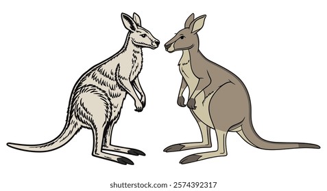 Creative Kangaroo Silhouette and icon