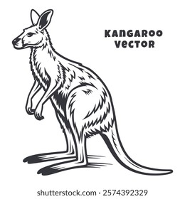 Creative Kangaroo Silhouette and icon