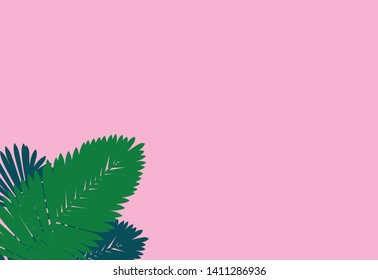 Creative layout made of colorful tropical leaves on pink background. Minimal summer exotic concept with copy space. Border arrangement
