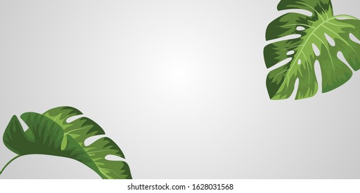 Creative layout made of colorful tropical leaves on white background. Minimal summer exotic concept with copy space. Vector illustration background.