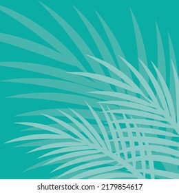 Diseño creativo hecho de coloridas hojas tropicales blancas. Un concepto mínimo de verano exótico con espacio para copiar. Arreglo fronterizo.
