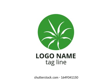 Creative leaf icon sign design. Template logo for any business like healthy organization, consultant, finance, hospital, investment corporate, resident company.
