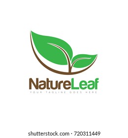 Creative leaf logo design