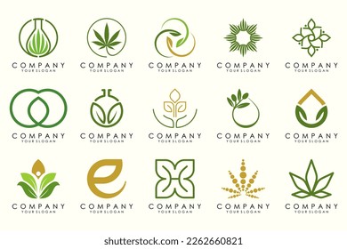 conjunto de iconos de diseño de logotipo de hoja creativa.