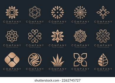 conjunto de iconos de diseño de logotipo de hoja creativa.