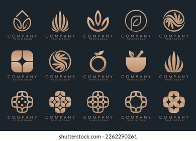 creative leaf logo design inspiration