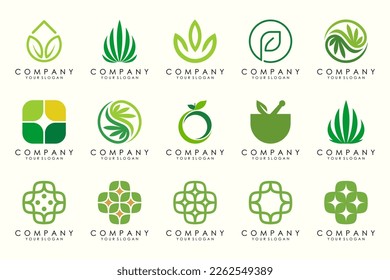 creative leaf logo design inspiration