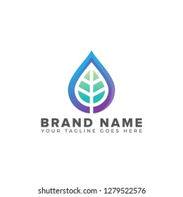 Creative leaf nature eco  abstract logo design template Vector illustration