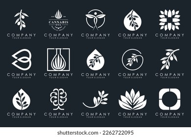 creative leaf and olive oil logo design icon set.