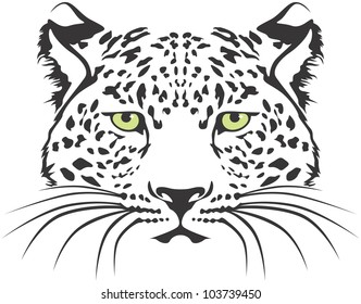 Creative Leopard Illustration