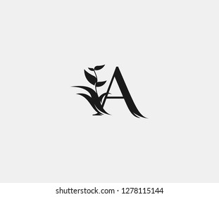 creative letter A abstract monogram flourishes ornament logotype vector
