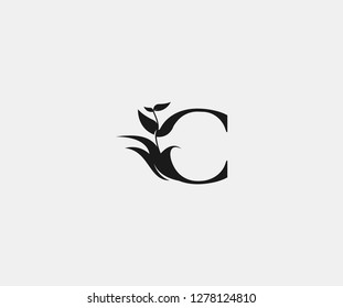 creative letter C abstract monogram flourishes ornament logotype vector