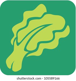 Creative Lettuce Icon