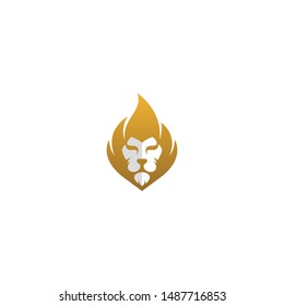 Creative Lion Face Logo Designs
