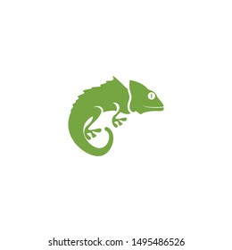 Creative Lizard chameleon logo or icon template vector design