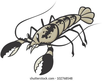 Creative Lobster Illustration