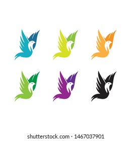creative logo bird vector collection