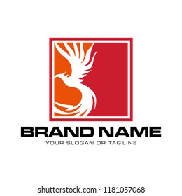 creative logo design phoenix vector template