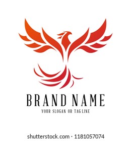 Creative Logo Design Phoenix Vector Template Stock Vector (royalty Free 