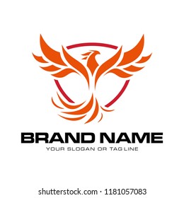 creative logo design phoenix vector template