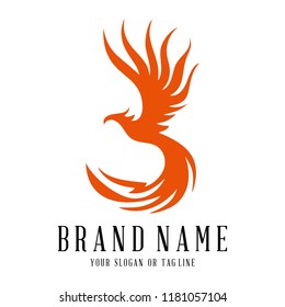 creative logo design phoenix vector template