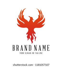 creative logo design phoenix vector template