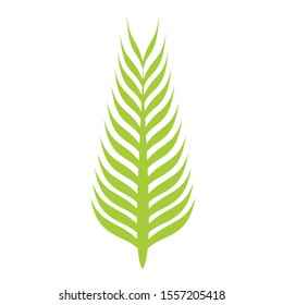 Creative logo design that is palm leaf with fresh green color