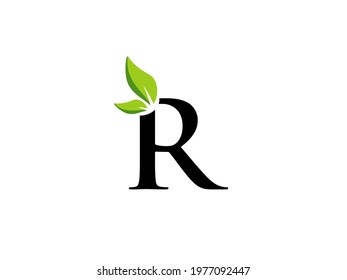 creative logo letter R. combination leaf and Letter R. nature logo. vector